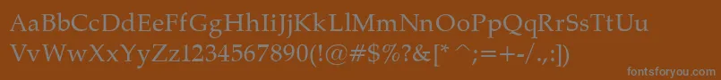 PalatinoNormal Font – Gray Fonts on Brown Background