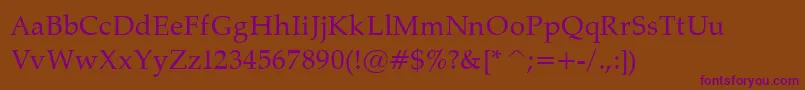 PalatinoNormal Font – Purple Fonts on Brown Background