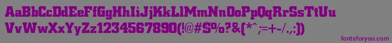 CityBoldBold Font – Purple Fonts on Gray Background