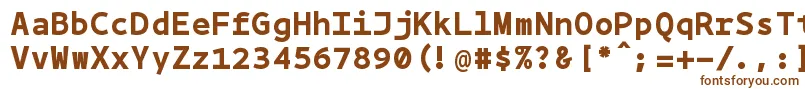 Bpmonobold Font – Brown Fonts