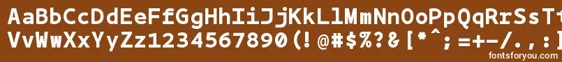 Bpmonobold-fontti – valkoiset fontit ruskealla taustalla