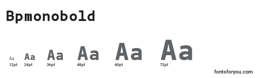 Bpmonobold Font Sizes