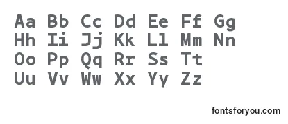 Bpmonobold Font