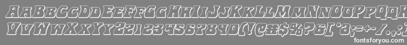 Hippocket3Dital Font – White Fonts on Gray Background