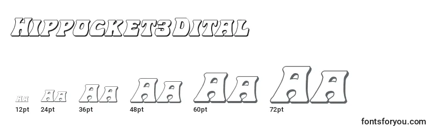 Hippocket3Dital Font Sizes