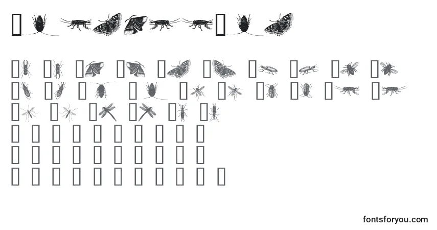 A fonte InsectsOne – alfabeto, números, caracteres especiais