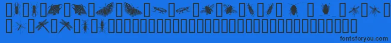 InsectsOne Font – Black Fonts on Blue Background