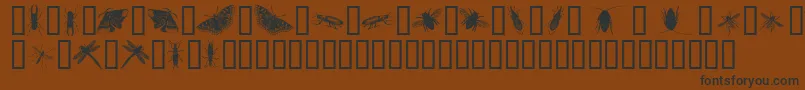 InsectsOne-fontti – mustat fontit ruskealla taustalla
