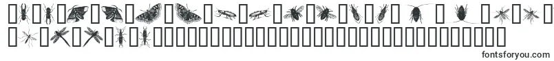 InsectsOne-Schriftart – Ausschneideschriften