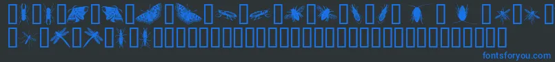 InsectsOne-Schriftart – Blaue Schriften auf schwarzem Hintergrund