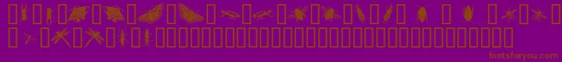 InsectsOne-Schriftart – Braune Schriften auf violettem Hintergrund
