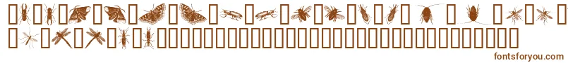 InsectsOne-Schriftart – Braune Schriften auf weißem Hintergrund
