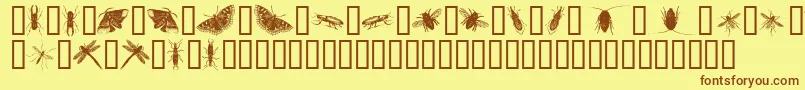 InsectsOne-Schriftart – Braune Schriften auf gelbem Hintergrund