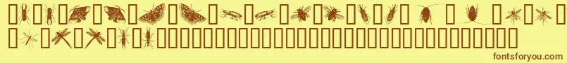 フォントInsectsOne – 茶色の文字が黄色の背景にあります。