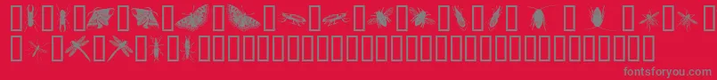InsectsOne Font – Gray Fonts on Red Background