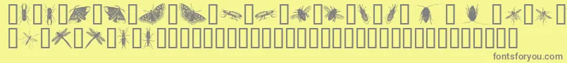 InsectsOne Font – Gray Fonts on Yellow Background