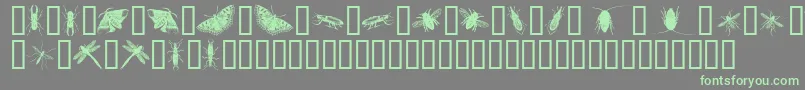 InsectsOne Font – Green Fonts on Gray Background
