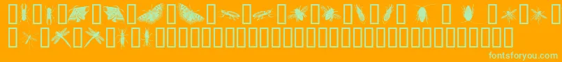 InsectsOne-Schriftart – Grüne Schriften auf orangefarbenem Hintergrund