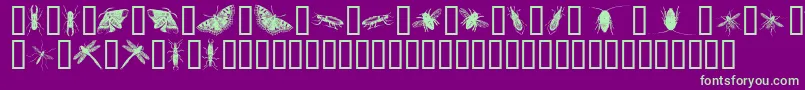 フォントInsectsOne – 紫の背景に緑のフォント