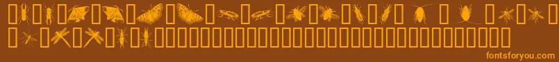 Czcionka InsectsOne – pomarańczowe czcionki na brązowym tle