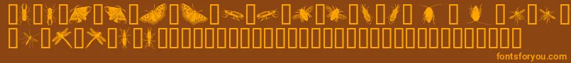 InsectsOne Font – Orange Fonts on Brown Background