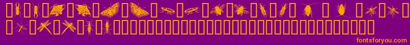 InsectsOne-fontti – oranssit fontit violetilla taustalla