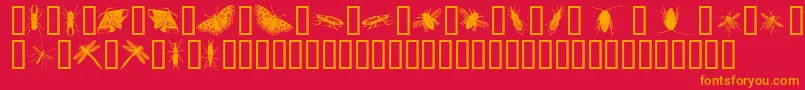 InsectsOne Font – Orange Fonts on Red Background