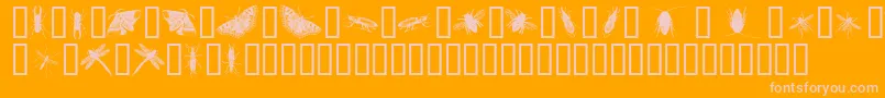 InsectsOne-fontti – vaaleanpunaiset fontit oranssilla taustalla