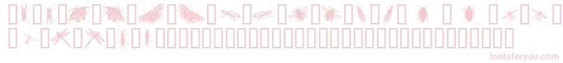 InsectsOne Font – Pink Fonts