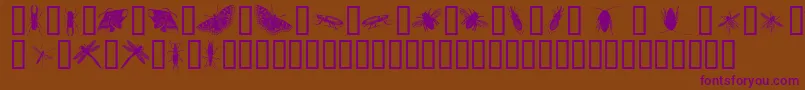 InsectsOne Font – Purple Fonts on Brown Background