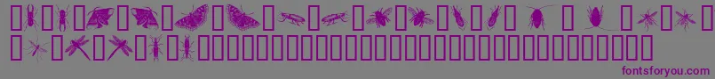 InsectsOne Font – Purple Fonts on Gray Background