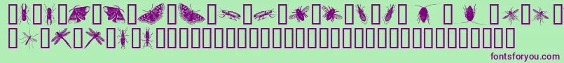 フォントInsectsOne – 緑の背景に紫のフォント