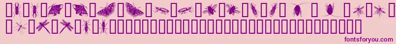 InsectsOne-Schriftart – Violette Schriften auf rosa Hintergrund