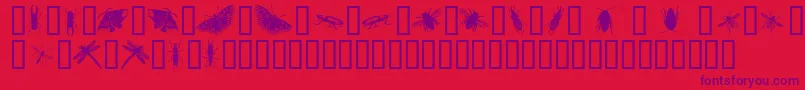 InsectsOne Font – Purple Fonts on Red Background