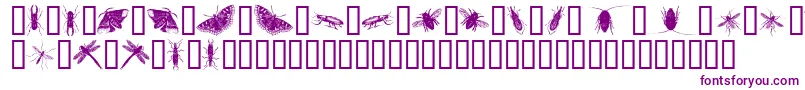 Czcionka InsectsOne – fioletowe czcionki
