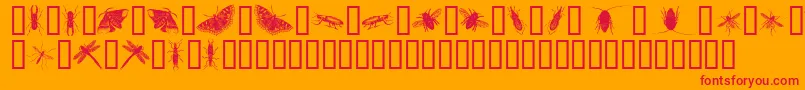 Czcionka InsectsOne – czerwone czcionki na pomarańczowym tle