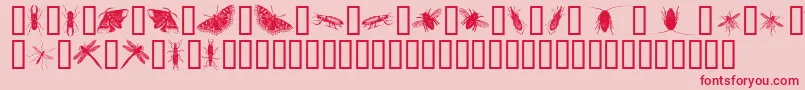 InsectsOne-Schriftart – Rote Schriften auf rosa Hintergrund