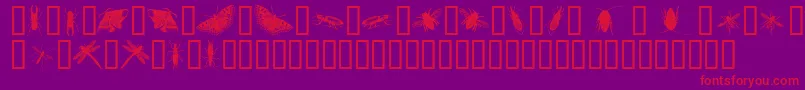 フォントInsectsOne – 紫の背景に赤い文字