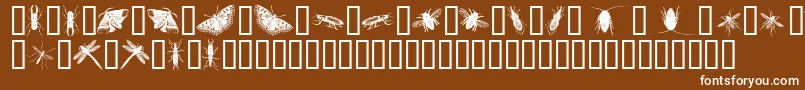 InsectsOne-fontti – valkoiset fontit ruskealla taustalla