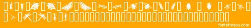 InsectsOne-Schriftart – Weiße Schriften auf orangefarbenem Hintergrund