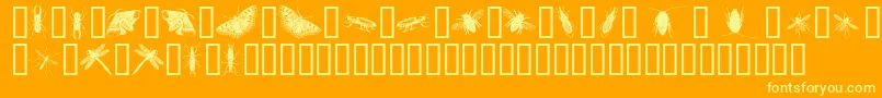 InsectsOne-fontti – keltaiset fontit oranssilla taustalla