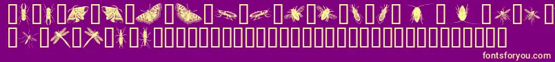 InsectsOne Font – Yellow Fonts on Purple Background