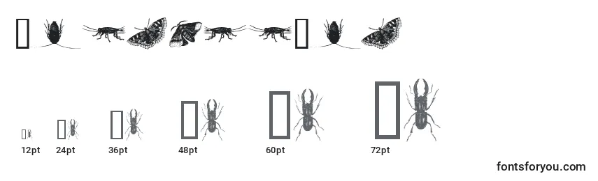 Размеры шрифта InsectsOne