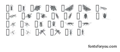 Überblick über die Schriftart InsectsOne