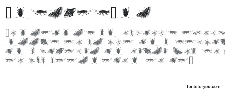 Przegląd czcionki InsectsOne