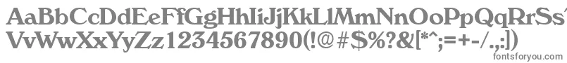 フォントVeronaSerialBoldDb – 白い背景に灰色の文字