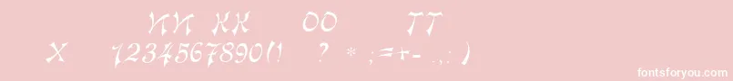 Tokio Font – White Fonts on Pink Background