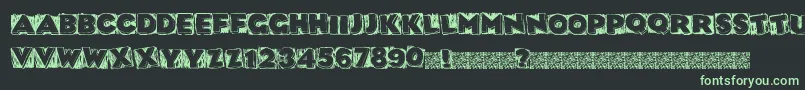 Datbox Font – Green Fonts on Black Background