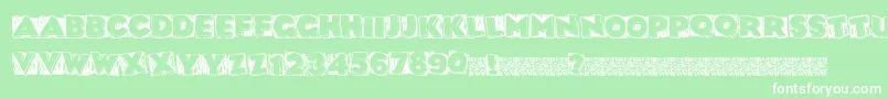 Datbox Font – White Fonts on Green Background