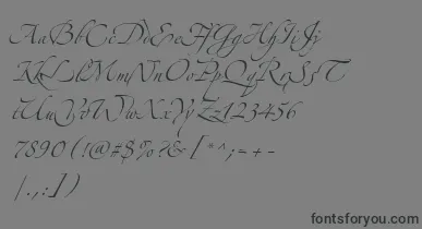 AlexandraZeferinoThree font – Black Fonts On Gray Background